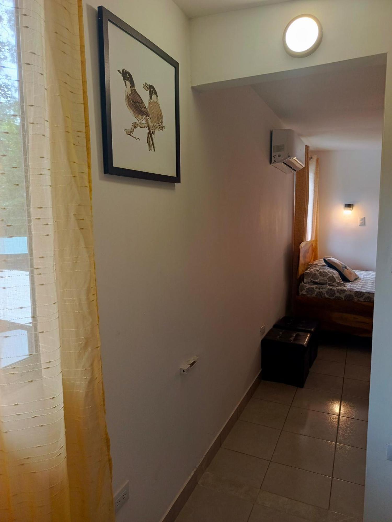 Hotel Boutique D Angelo 曼萨尼约 外观 照片